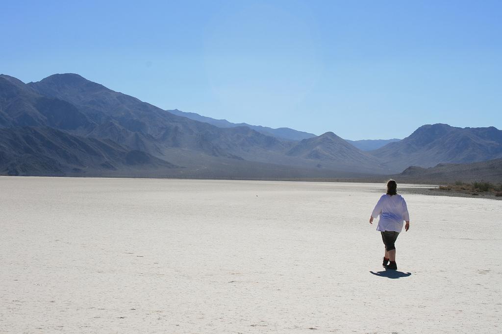 20081022 death valley 066.jpg - Death Valley - Looking for the actual tracks